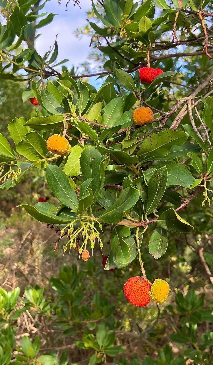 08