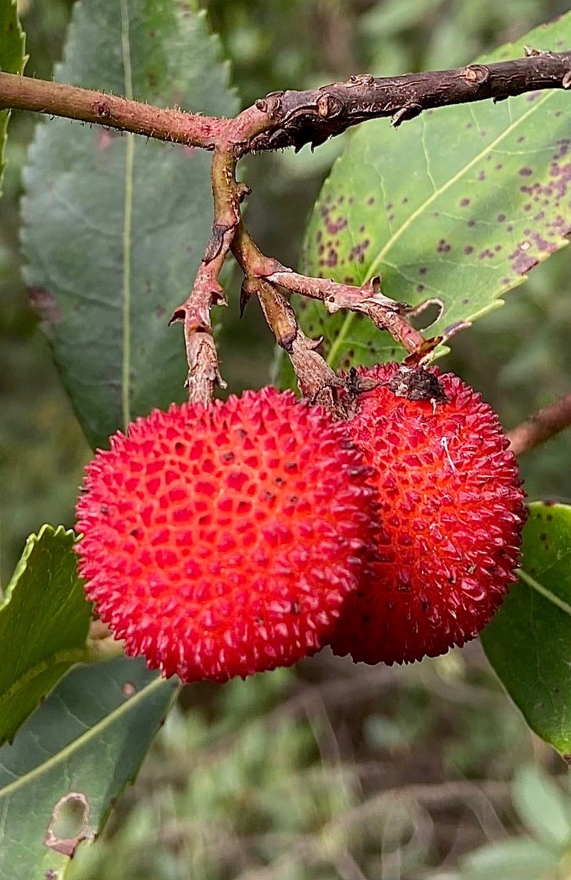 09