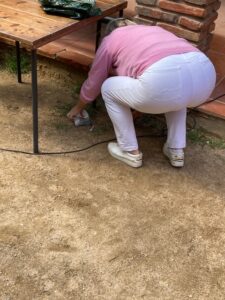 IMG_2987